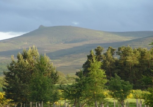 Picture of Feughside Caravan Park, Aberdeenshire, Scotland