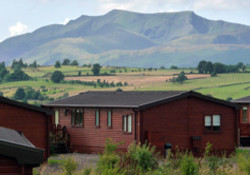 Picture of Flusco Wood, Cumbria, North of England