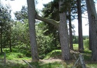 Picture of Feughside Caravan Park, Aberdeenshire, Scotland