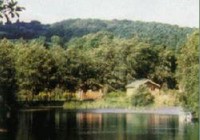 Picture of Hidden Valley Holiday Park, Wicklow