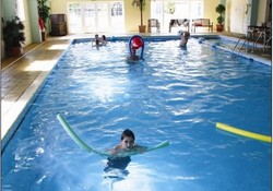 Swim pool web