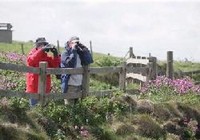 Picture of Thornwick &amp; Sea Farm Holiday Centre &amp; Greenacre West, East Riding Yorkshire