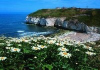 Picture of Thornwick &amp; Sea Farm Holiday Centre &amp; Greenacre West, East Riding Yorkshire