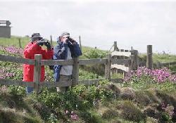 Picture of Thornwick & Sea Farm Holiday Centre & Greenacre West, East Riding Yorkshire Picture of Thornwick & Sea Farm Holiday Centre & Greenacre West, East Riding Yorkshire
