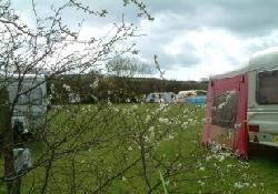 Picture of Dolbryn Touring Caravan &amp; Camping Site, Carmarthenshire