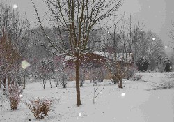 Picture of Camping Maisonneuve, Dordogne