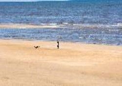 Picture of Point Of Ayr Holiday Park, Flintshire, Wales