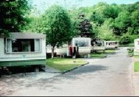Picture of Beech Grove Caravan and Camping Park, Kerry