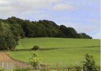 Picture of Foresterseat Caravan Park, Angus