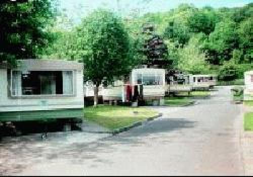 Picture of Beech Grove Caravan and Camping Park, Kerry