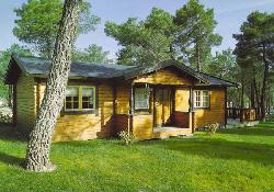 Picture of Scandinavian Log Cabins Direct, West Sussex