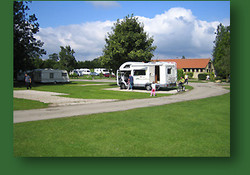 Picture of Ripley Caravan Park, North Yorkshire, North of England