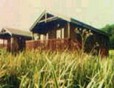 Picture of Carry Farm, Argyll & Bute