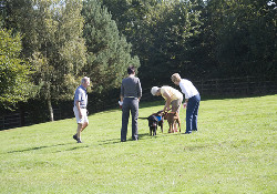 Wood Farm