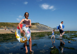 Jurassic Fossil Beach at Charmouth