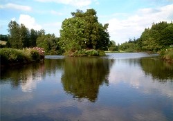Picture of Hidden Valley Caravan Park, Powys