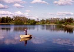 Picture of Newhouse Caravan & Camping Park, Strathclyde Picture of Newhouse Caravan & Camping Park, Strathclyde