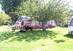 Picture of Allhallows Place House Touring Park, Kent