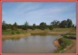 Picture of Ashfield Caravan Park, North Yorkshire