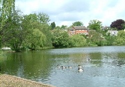 Picture of Waveney Valley Holiday Park, Norfolk
