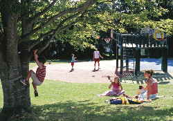 Picture of St. Minver Holiday Park - Parkdean Holidays, Cornwall