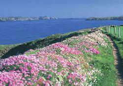 Picture of Pantglas Farm Caravan Park, Pembrokeshire