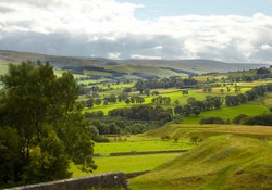 Stunning Views