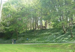 Picture of Llwyngwair Manor Caravan Park, Pembrokeshire, Wales