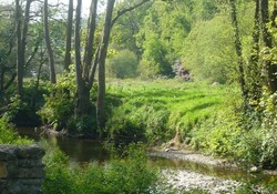 Picture of Llwyngwair Manor Caravan Park, Pembrokeshire, Wales