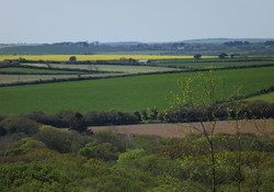 DSCF1254