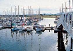 Picture of Gimblet Rock Holiday Park, Gwynedd