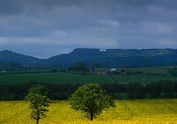 Picture of York House Holiday Park, North Yorkshire