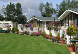 Picture of Heathergate Country Park, Northumberland, North of England