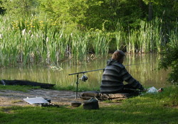 Picture of Trench Farm Touring Park and Fisheries, Wrexham, Wales
