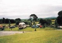 Picture of Tree Grove Caravan Park, Kilkenny