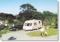 Picture of Tree Grove Caravan Park, Kilkenny