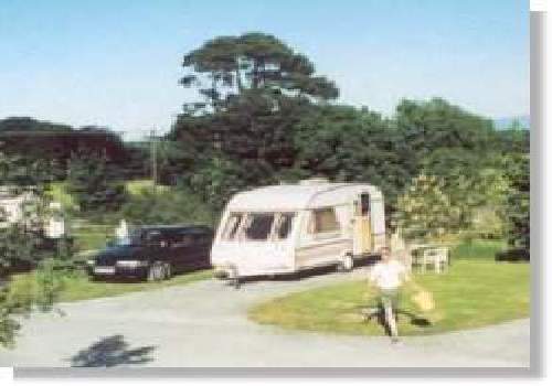 Picture of Tree Grove Caravan Park, Kilkenny