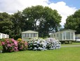 Picture of Well Park Caravans & Holiday Cottages, Pembrokeshire, Wales