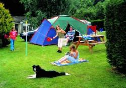 Tents - Some happy campers enjoying the spacious tenting area