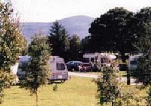 Picture of Donoghues White Villa Farm Caravan and Camping Park, Kerry