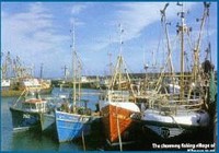 Picture of Ferrybank Camping and Caravan Park, Wexford