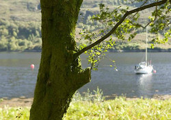 Picture of Invercoe Caravan &amp; Camping Park, Highland, Scotland