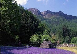 Picture of Invercoe Caravan &amp; Camping Park, Highland, Scotland