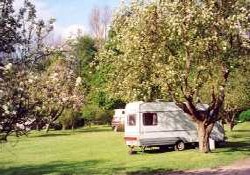 Picture of Radwell Lake Caravan Park, Hertfordshire, Central South England