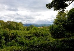 Picture of Woodlands Hall Caravan Park, Denbighshire, Wales Picture of Woodlands Hall Caravan Park, Denbighshire, Wales
