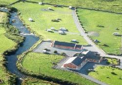 Picture of OConnors Riverside Camping and Caravan Park, Clare
