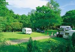 Picture of Crystal Palace Caravan Club Site, London