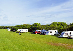 Picture of Wincanton Racecourse Caravan Club Site, Somerset, South West England