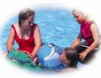 Picture of Ladys Mile Holiday Park, Devon Picture of Ladys Mile Holiday Park, Devon