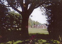Picture of Dell Caravan &amp; Camping Park, Suffolk